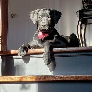 Meet your Posher, Catherine